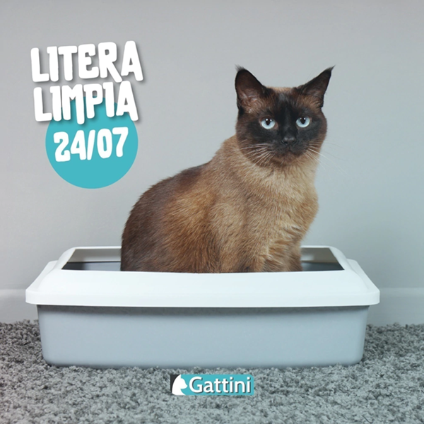 Gattini Premium, bolsón x 16 kg. (4 kg. x 4 un.) - Imagen 2
