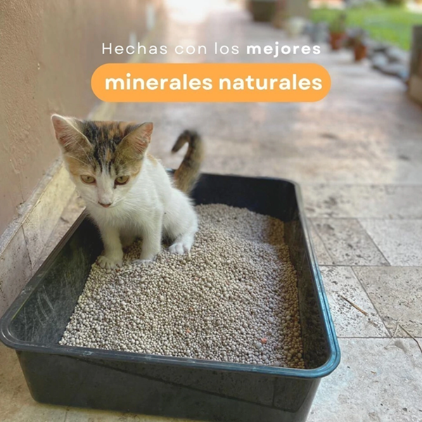 Gattos Extra Quality 4kg x 4 unidades - Imagen 2